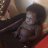 jossethale32